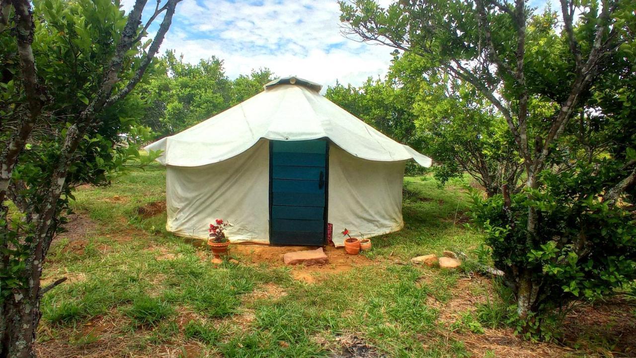 La Pacha Hostel Barichara Zewnętrze zdjęcie